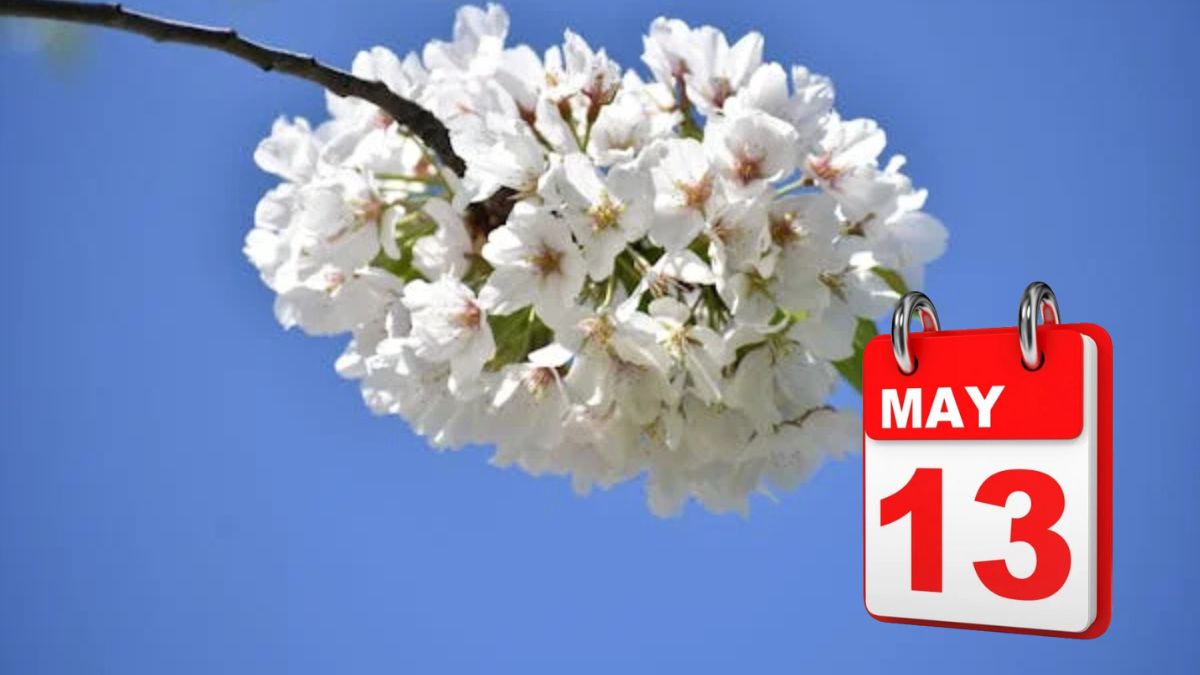 May 13 special day in India